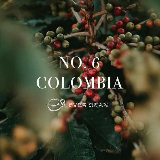 EverBean - No.6