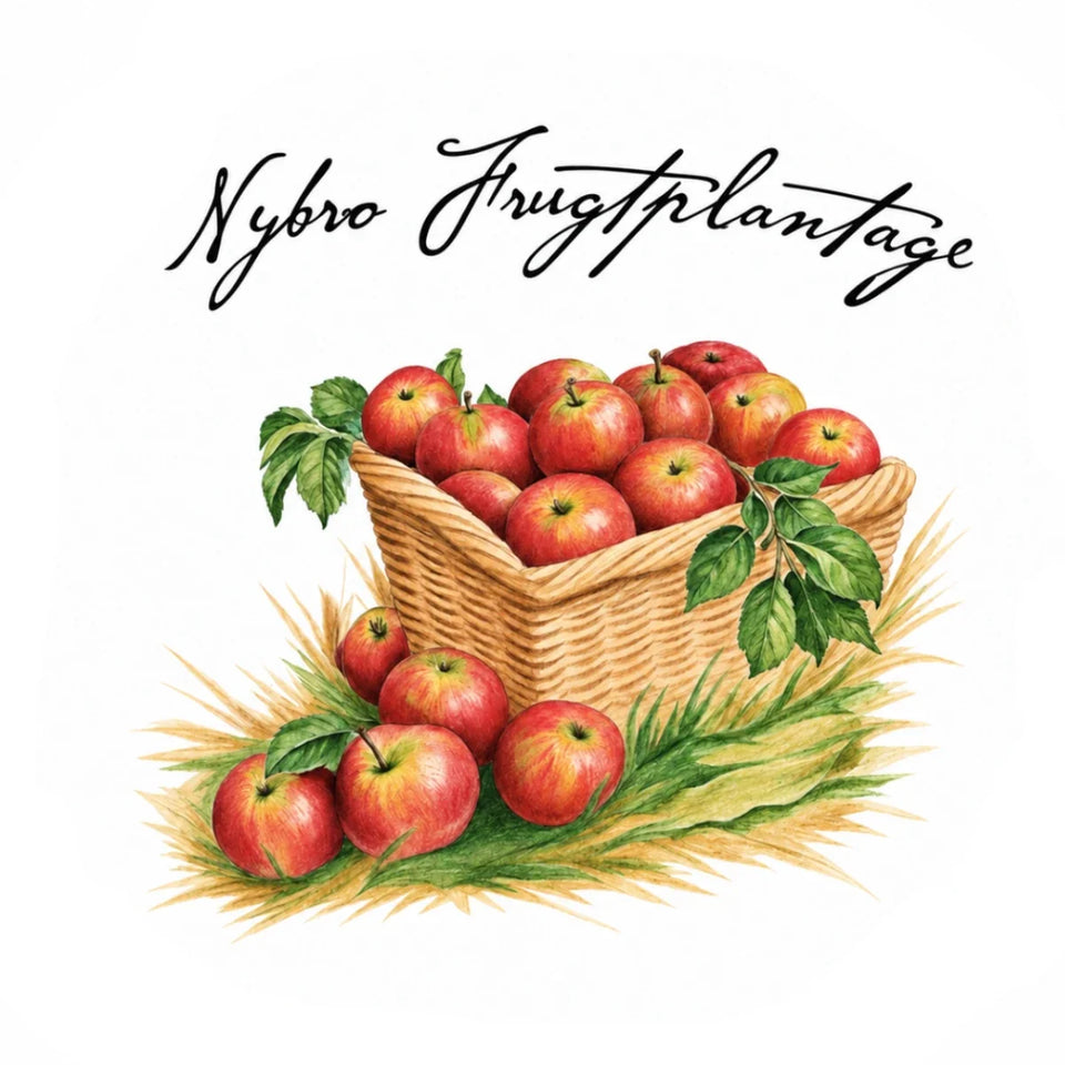 Nybro Frugtplantage – fynsk æblemost, cider og frugtdrikke.