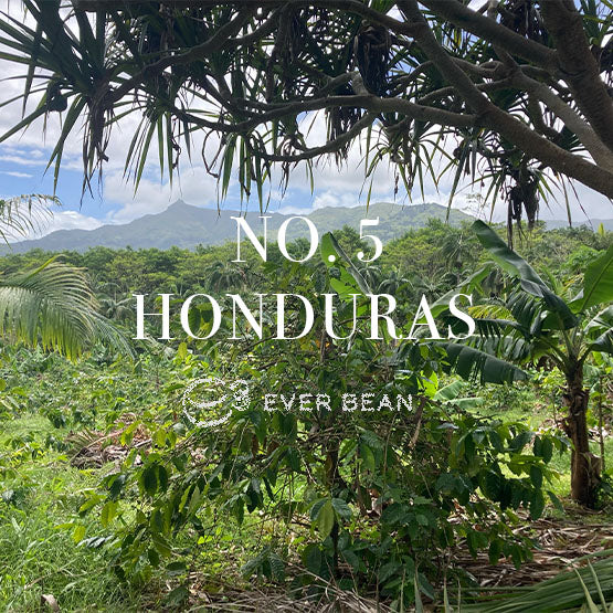 EverBean No. 05 Honduras Arabica kaffe med noter af karamel, honning og chokolade i 250 g pose