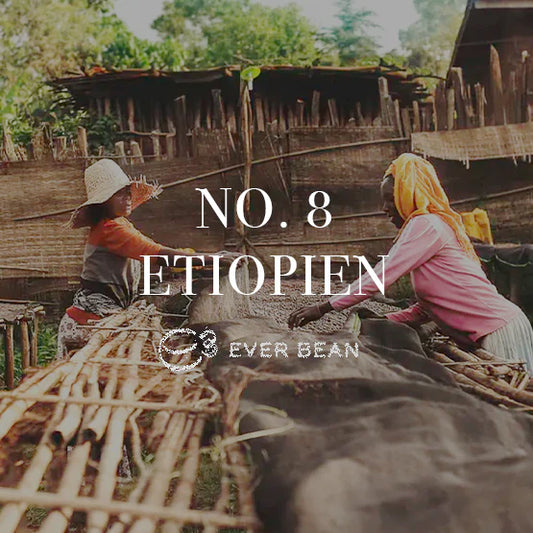 EverBean No. 08 Ethiopia Arabica kaffe fra Gedeo i Etiopien i 250 g pose