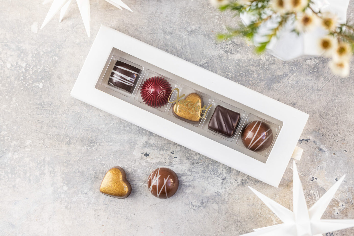 Xocolatl - Christiansfelder Star 5