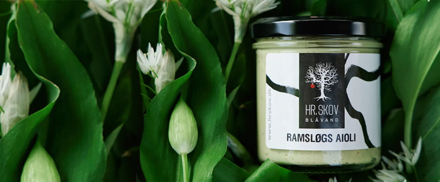 Hr. Skov Blåvand - Forside SMAGdansk