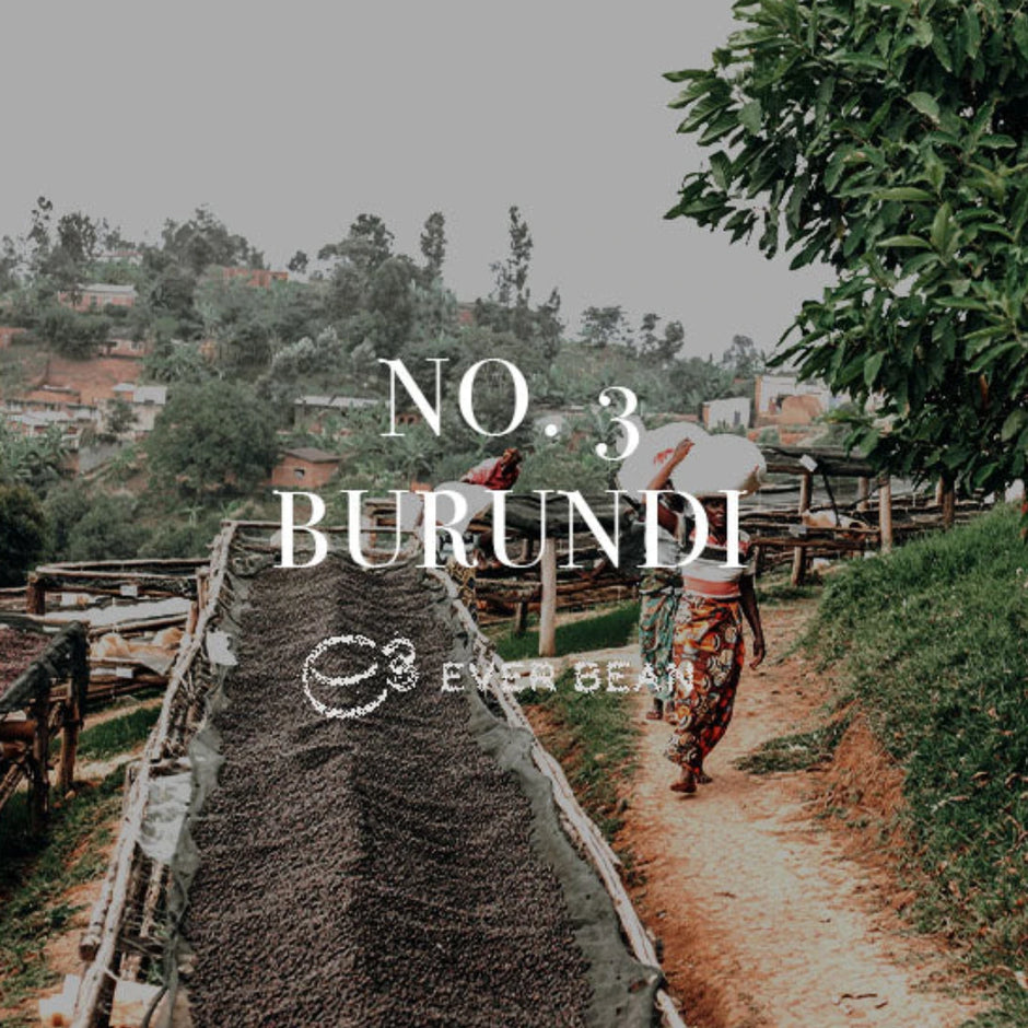 EverBean No. 03 · Burundi kaffebønner 250 g – single origin Arabica Bourbon fra Bujumbura, Burundi, dyrket i 1.700–1.900 moh. og vasket forarbejdning, nænsomt ristet ved lav varme for at bevare søde bærnoter, blomster/flora samt citrus- og kryddertoner; velegnet til pour over og filterkaffe med strejf af blomme og kirsebær