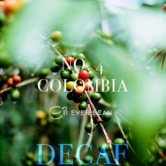 EverBean No. 04 · Colombia Decaf øko kaffebønner 250 g – økologiske koffeinfri Arabica-bønner fra Colombia (Narino) i 1.200–2.000 m højde, vasket forarbejdning og blend af Caturra, Typica og Bourbon; smagsnoter af mørk chokolade, nødder, lime og honning, blød og cremet kop til filterkaffe, stempel og Chemex, decaf hvor koffeinen er fjernet med vand uden kemi
