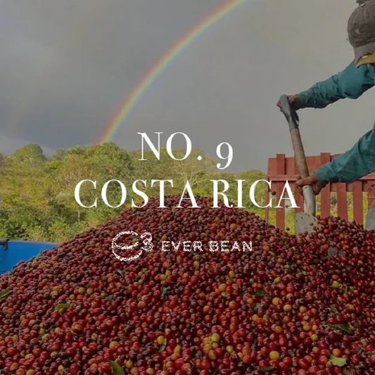 EverBean No. 09 Costa Rica kaffebønner 250 g – fuldt vasket Arabica fra Matinilla i Escazú (1.200–1.800 moh.) med smagsnoter af chokolade, abrikos og brun farin, ideel til espresso og mælkedrikke