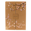 Summerbird Édition Noël julekalender med 48 stk. økologisk chokolade, 2 stykker bag hver låge, elegant gylden chokoladejulekalender, 565 g