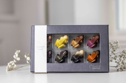 Xocolatl - Frogparade